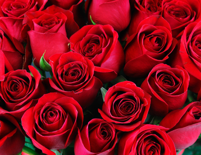 Beställ blommor till begravning Rönninge - Begravningsbyrå Rönninge - Isacsons Begravningsbyrå Rönninge - Begravningar Rönninge Beställ blommor till begravning Rönninge - Begravningsbyrå Rönninge - Isacsons Begravningsbyrå Rönninge - Begravningar Rönninge